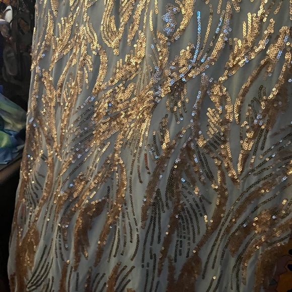 Elegant Formal Evening Gown - Picture 7 of 11